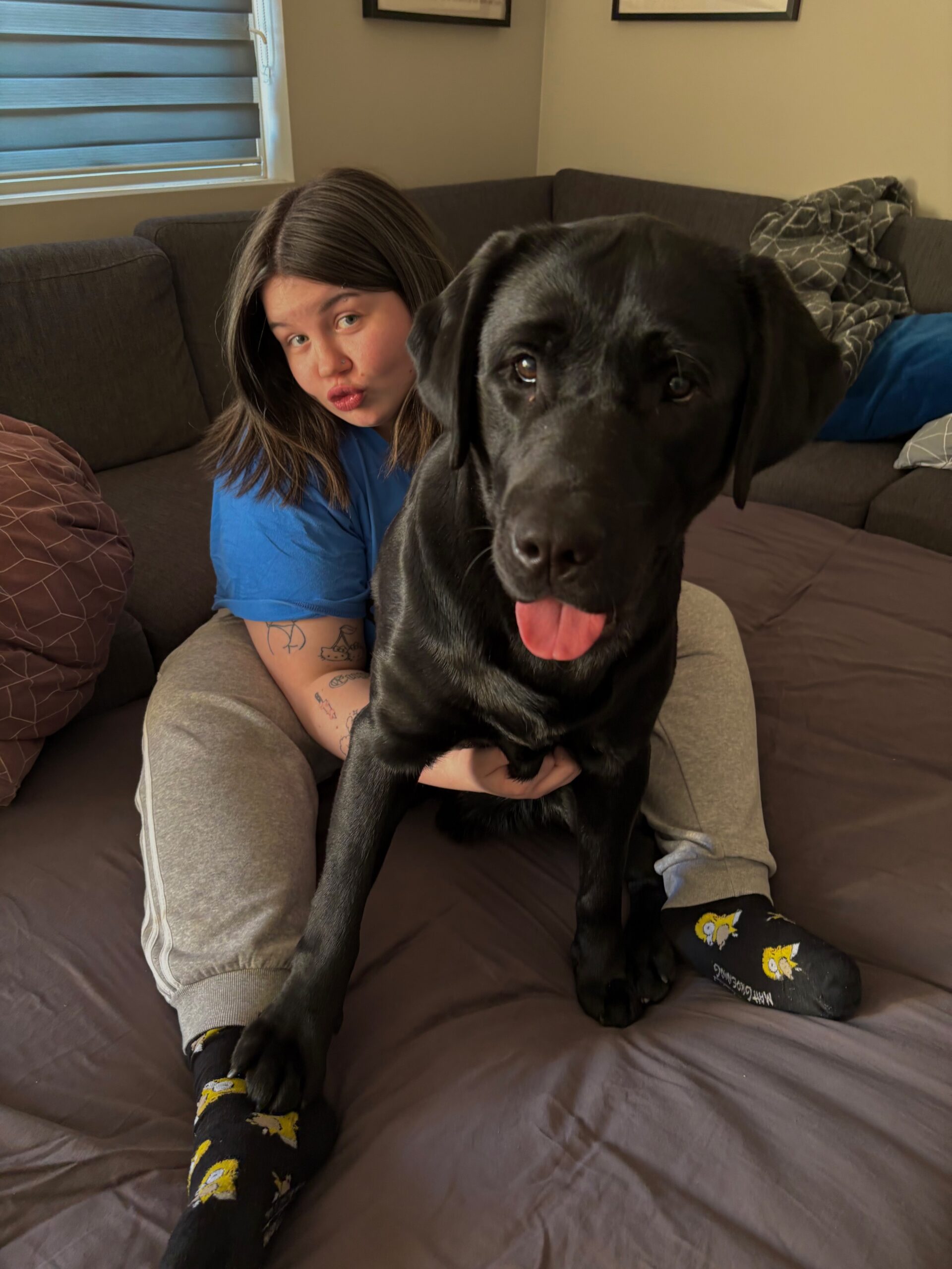 Heima-pössun Wiolettu